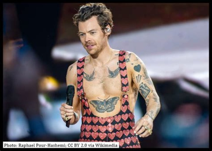 Liam Payne Disses Harry Styles’ New Music: Watch – Hollywood Life