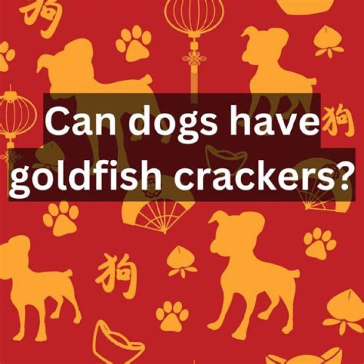 Question: Can Dogs Have Goldfish
