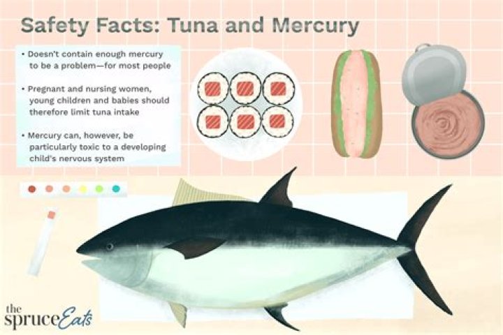 Quick Answer: How Much Tuna Fish Is Safe To Eat A Week