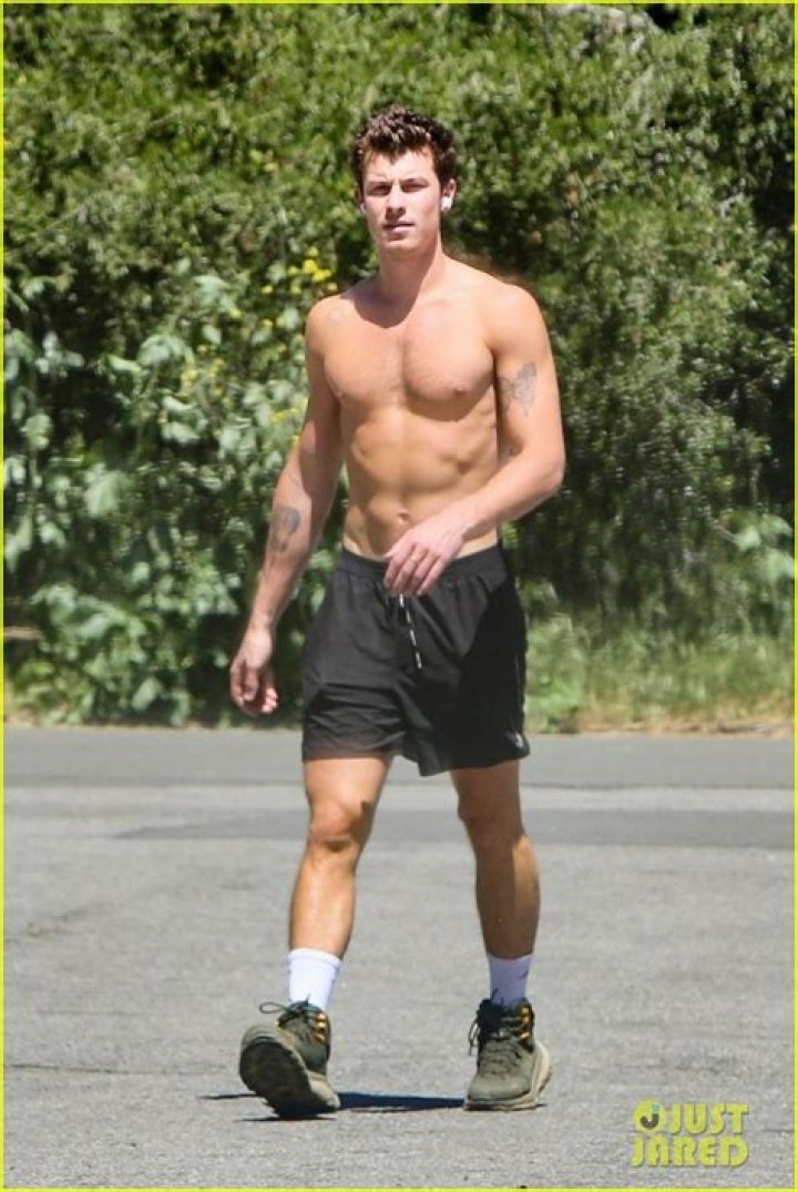 Shawn Mendes Goes Shirtless For Hike In Los Angeles: Photos – Hollywood Life